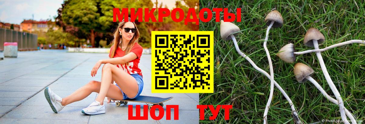 Псилоцибиновые грибы прущие грибы Клинцы