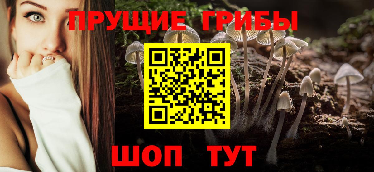 Клинцы  Галлюциногенные грибы прущие грибы  Вход с VPN  Псилоцибиновые грибы MAGIC MUSHROOMS 